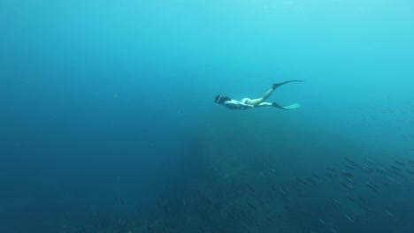 Female-diver-freediving-in-clear-blue-water-of-the-Azores-past-school-of-fish