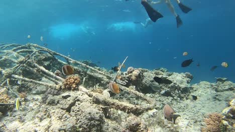 Schnorcheln-Auf-Den-Gili-inseln,-Indonesien,-Tropische-Fische-Und-Wracks