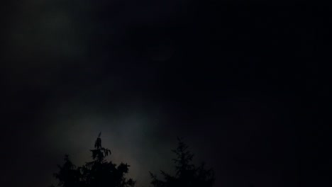 Vollmond-Beleuchtet-Silhouettierte-Bäume-In-Einem-Stürmischen-Nachthimmel