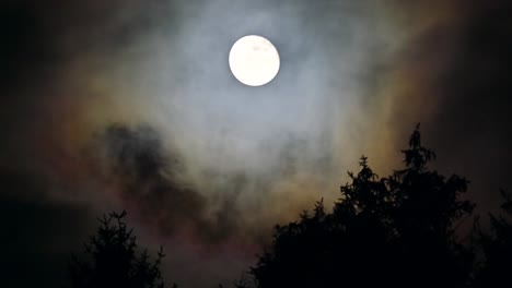 Die-Harmonie-Der-Natur:-Mond,-Wind-Und-Bäume-In-Der-Stürmischen-Nacht