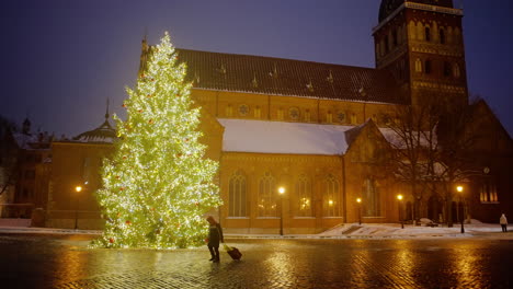 Riga-Stadt-Lettland-Im-Monat-Januar