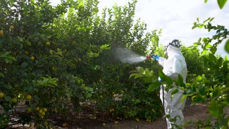 Bauer-In-Schutzkleidung-Sprüht-Pestizide