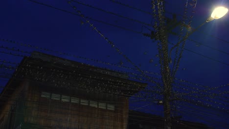 Street-view-of-birds-perched-on-power-at-night-as-vehicle-passes-by,-Thailand