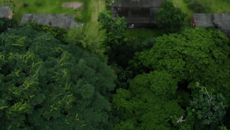Luftbild-Von-Wald-Und-Häusern-Auf-Der-Insel-Gorgona