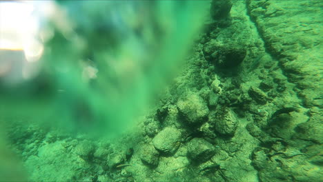Underwater-Fish-Swim-by-Snorkeler-Hands-near-Reef
