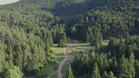 Aerial---Panoramic-shot-of-large-forest-in-Greece