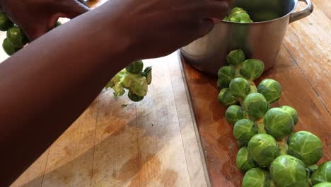 Slow-motion-of-man-of-African-ethnicity-plucking-Brussel-sprouts-from-a-stem