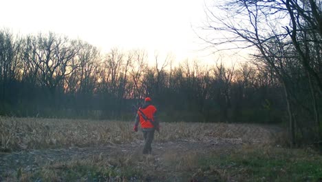Hunter-dressed-in-orange-and-camouflage-slowly-walking-along-game-trail-at-the-edge-of-harvested-corn-field-at-sunrise-in-early-winter-in-American-Midwest