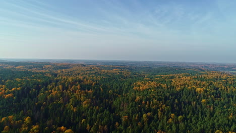 Luftaufnahme-Des-Frühlingsgrünen-Waldes-Bei-Klarem-Wetter