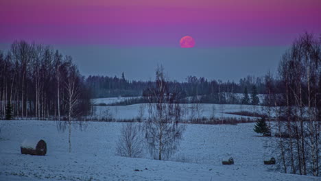 Time-lapse-shot-of-purple-full-moon-rising-at-sky-at-night-during-snowy-day-in-nature