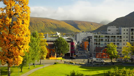Scenic-View-Of-Autumn-Trees-In-The-City-Of-Tromso-In-Norway