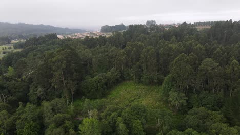 Flying-over-treetops-of-a-deep-green-forest-in-a-cloudy-day