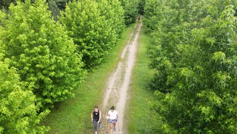 Drei-Frauen-Wandern-Mit-Stöcken-über-Einen-Naturpfad-Durch-Den-Wald-Auf-Dem-Weg-Nach-Santiago-De-Compostela