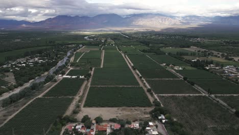 Cafayate-Vineyards-Aerial-View-of-Argentina-Famous-Wine-Production-Region,-Green-Valley-Landscape-and-Scenic-Andean-Cordillera-Background,-Salta