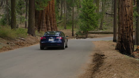 Coche-Tesla-Conduciendo-Por-La-Carretera-Pavimentada-Que-Cruza-El-Parque-Nacional-De-Sequoia-En-California,-Ee.uu.