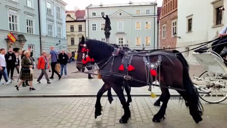 Pferdekutsche-In-Der-Polnischen-Stadt-Krakau