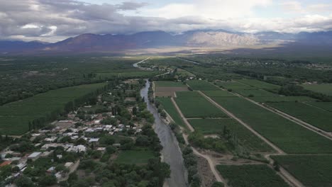Vineyards-in-Cafayate,-Salta,-Argentina,-Green-Scenic-Landscape,-Wine-Production,-Andean-Cordillera-Background,-Aerial-View-Above-Travel-Destination