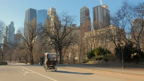 Central-Park-Carriage-Ride-During-Sunny-Wintertime-In-New-York,-United-States