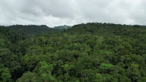 Drone-flyover-dense-tropical-rainforest-of-New-Guinea