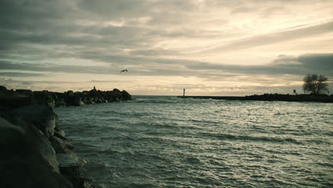 Seabird-Flying-Over-Beautiful-Coastal-Shoreline-Pier-and-into-Sunset-Sky