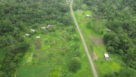 Fertile-farmlands-surrounded-by-virgin-forest-in-the-highlands-of-New-Guinea