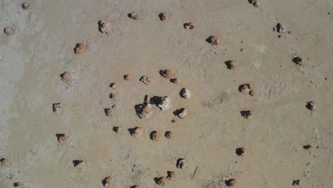 top-down-view-of-spiral-rock-formation