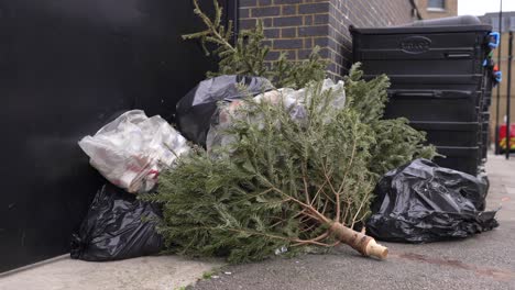 Dead-Christmas-trees-thrown-away-on-the-pavement-in-the-street,-with-trash,-ecologic-and-environment-issue