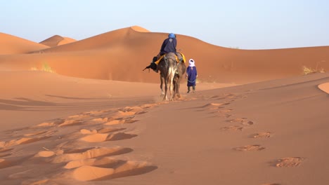 Camels-walking-in-the-desert-leaving-footprints-in-the-desert-of-Sahara,-Morocco,-Africa