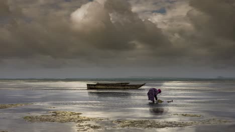 Woman-from-Zanzibar-collecting-shellfish-from-sea-at-low-tide-with-fishing-boat-in-background