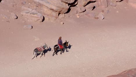 Arabian-man-riding-a-donkey-through-red-sandy-rocky-canyon-in-desert-city-of-Petra-in-Jordan,-Middle-East