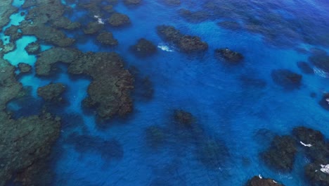 A-drone-captures-an-aerial-shot-of-a-blue-lagoon-reef-with-waves-crashing-during-the-day