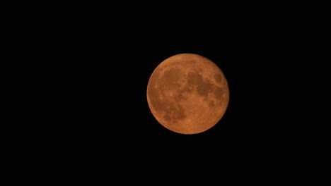 Moon-Harvest-Full-Shimmering-Super-Black-Night-Sky-Isolated
