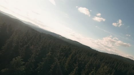 Flying-with-FPV-racing-drone-in-the-tree-tops-of-a-beautiful-spruce-forest-in-Sihla,-Central-Slovakia