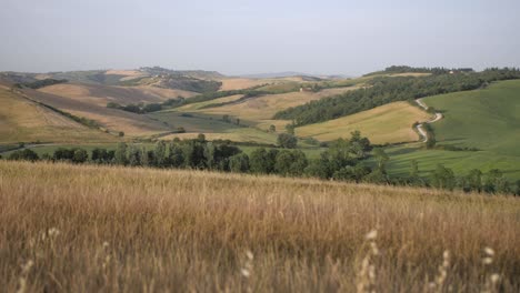 beautiful-rolling-hills-of-Tuscany-in-early-summer,-june-afternoon-romantic-landscape
