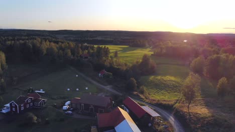Drone-Filmando-Sobre-Una-Pequeña-Granja-En-Suecia-En-Verano