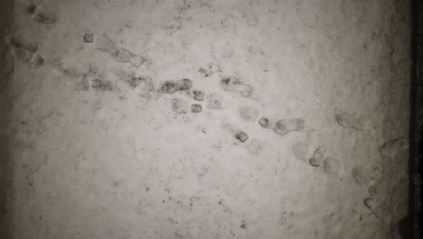 Top-down-aerial-view-of-footsteps-in-fresh-snow