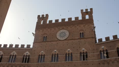 Siena-town-hall-Palazzo-Publico-in-morning-closeup-birds-flying-around-slowmotion