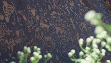 Close-Up-Shot-of-Native-American-Petroglyph-Wall