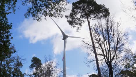 Wind-turbine-in-front-of-blue-sky-seen-through-treetops