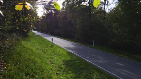 empty-country-road-through-forest-in-the-evening-light
