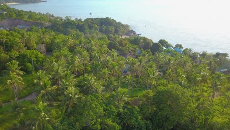 4k-Aerial-Drone-Push-Forward-Shot-of-Salad-Beach-on-Koh-Phangan-in-Thailand-with-Fishing-Boats,-Teal-Water,-Coral,-and-Green-Jungles