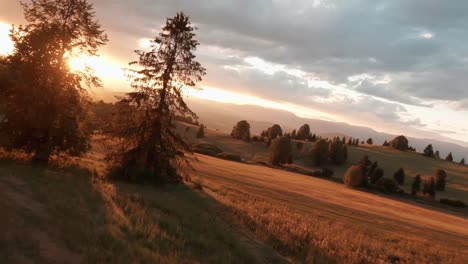 Aerial-footage-from-FPV-racing-drone-of-a-sun-lit-meadow-during-a-summer-sunset