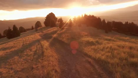 Aerial-footage-from-FPV-drone-of-a-sun-lit-meadow-during-a-summer-sunset
