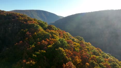 Aufsteigende-Luftenthüllung-Aus-Buntem-Herbstlaub-Und-Baumblättern