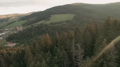 Aerial-footage-from-FPV-racing-drone-flying-down-the-hill-in-between-the-trees-and-above-a-beautifully-sunlit-forest-scenery-with-trees-casting-long-shadows