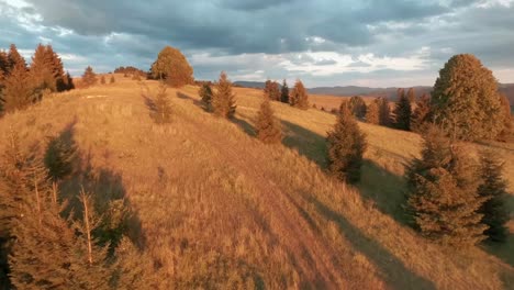 Aerial-footage-from-FPV-racing-drone-of-a-sun-lit-meadow-during-a-summer-sunset