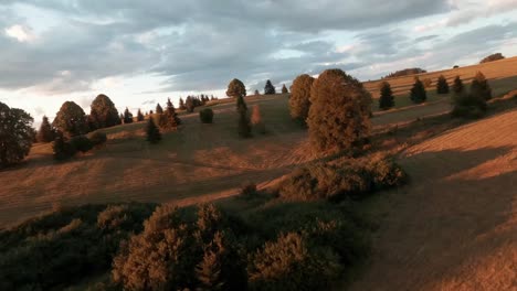 Aerial-cinematic-footage-from-FPV-racing-drone-of-a-sun-lit-meadow-during-a-summer-sunset