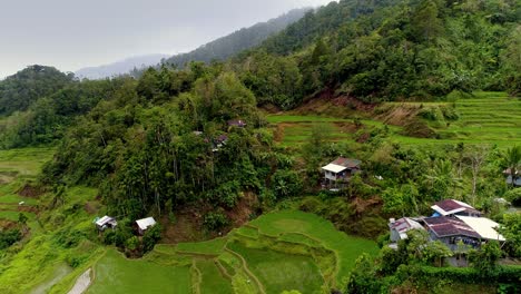 Reisfelder-In-Den-Philippinischen-Bergen-Mit-Hütten-Und-Häusern-Zwischen-Grünen,-üppigen-Bäumen