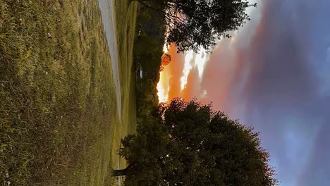 Time-lapse-of-beautiful-Kentucky-sunset,-with-a-green-grass-backyard-with-large-luxuriant-trees---VERTICAL