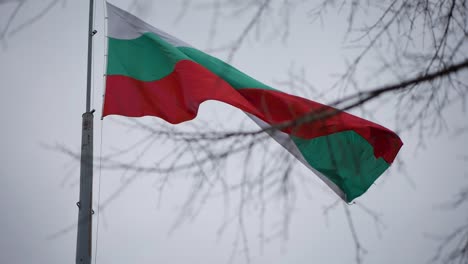 Die-Bulgarische-Nationalflagge-Winkt-Vorbei
